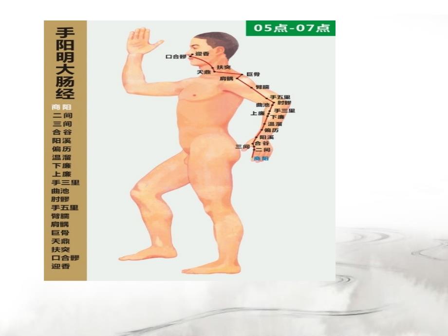 中医十二经络走向.ppt_第3页