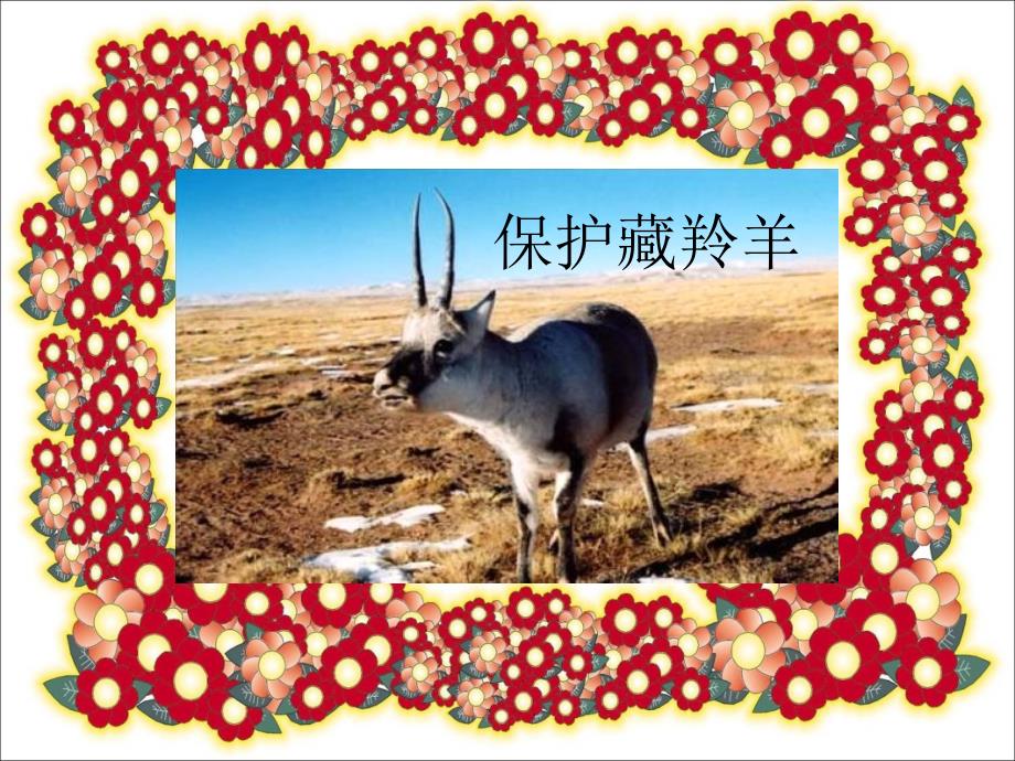 中国近年来环保成就.ppt_第3页
