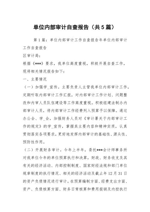 单位内部审计自查报告共5篇.docx