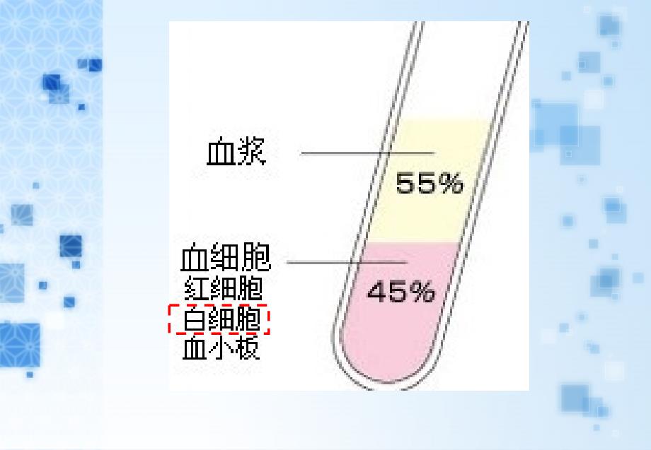 全血DNA的提取及电泳.ppt_第3页