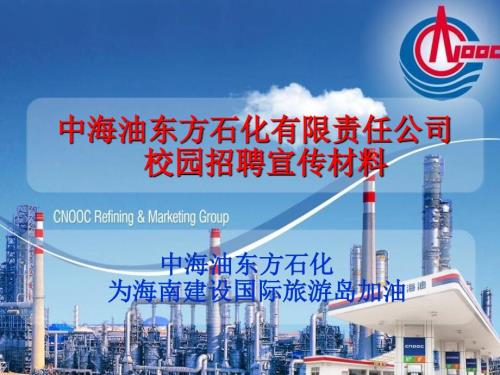 中海油东方石化有限责任公司.ppt