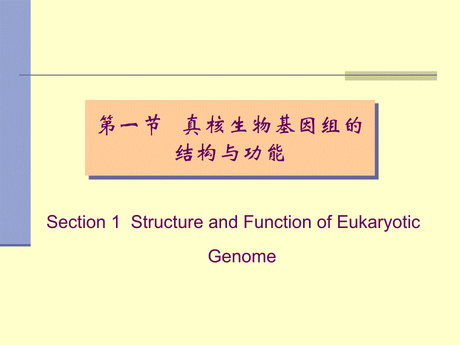 基因组的结构和功能.ppt_第3页
