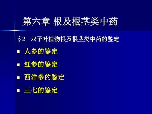 人参的鉴定PPT课件.ppt