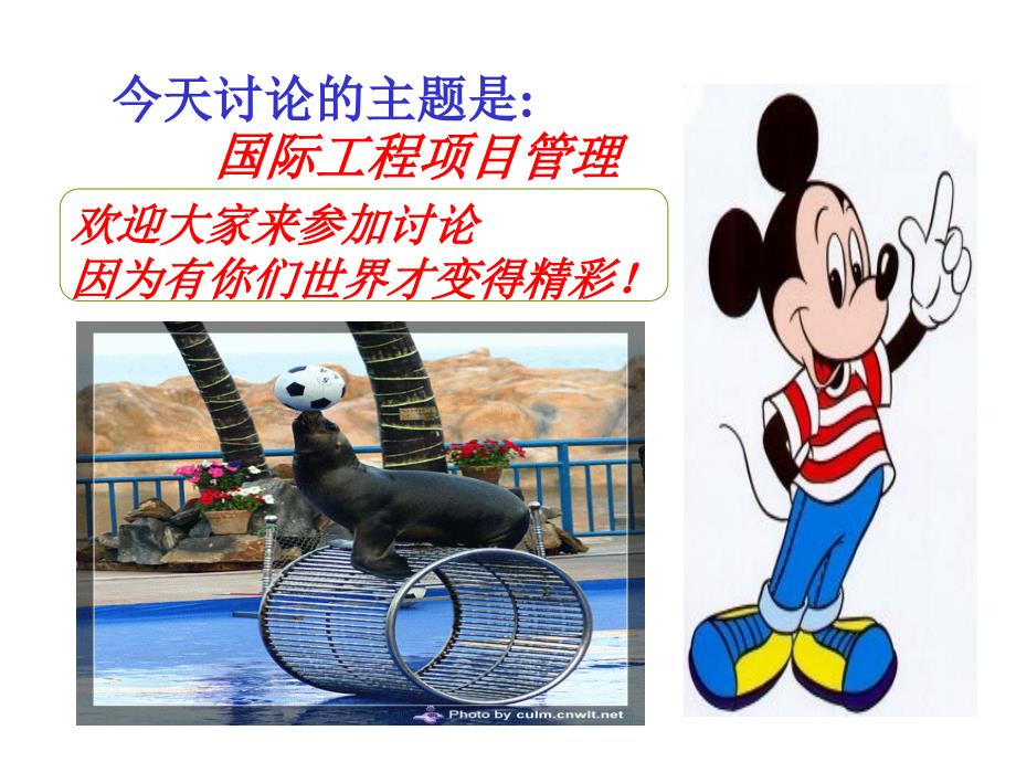 国际工程项目管理PPT课件.ppt_第1页