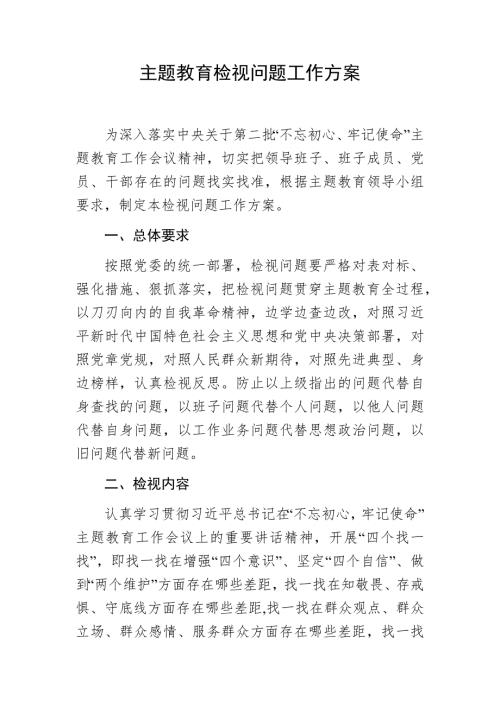 主题教育检视问题工作方案.docx