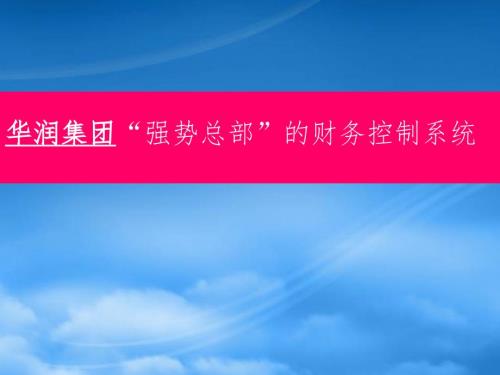 华润集团强势总部的财务控制系统介绍.pptx