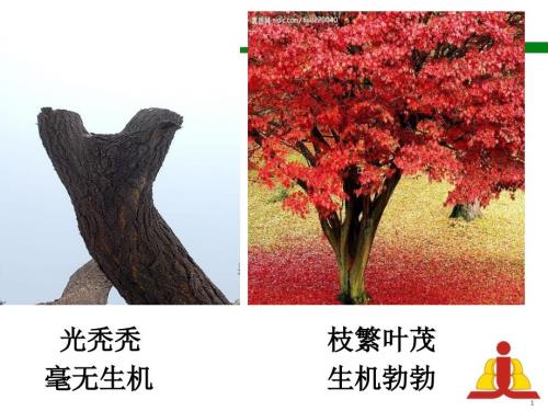 二年级小学扩句PPT课件.ppt