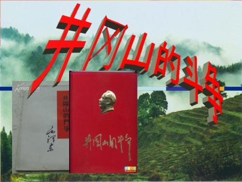 井冈山的斗争PPT课件.ppt