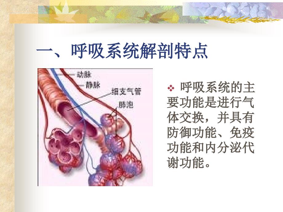 呼吸系统疾病常见症状体征的护理.ppt_第3页