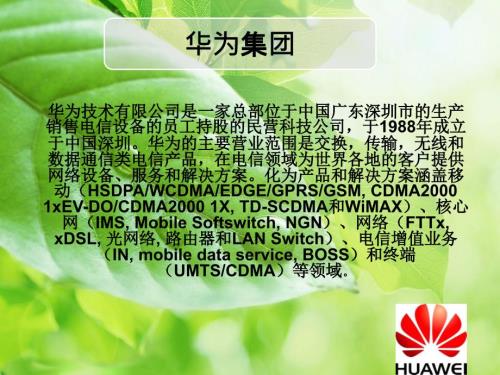 华为集团SWOT波特五力分析.ppt