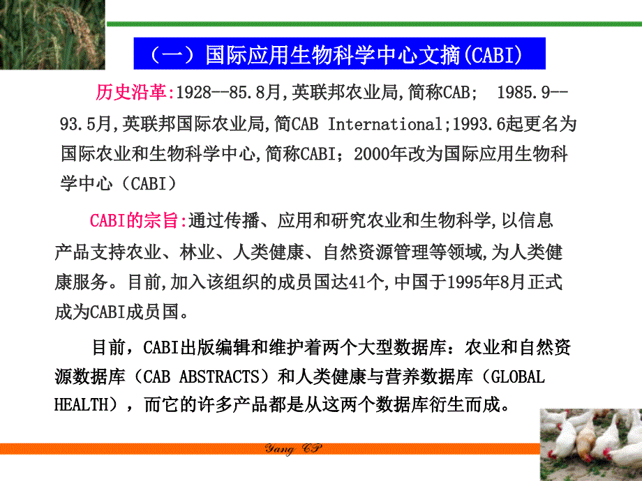 世界三大农业数据库.ppt_第3页