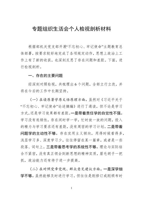专题组织生活会个人检视剖析材料.docx