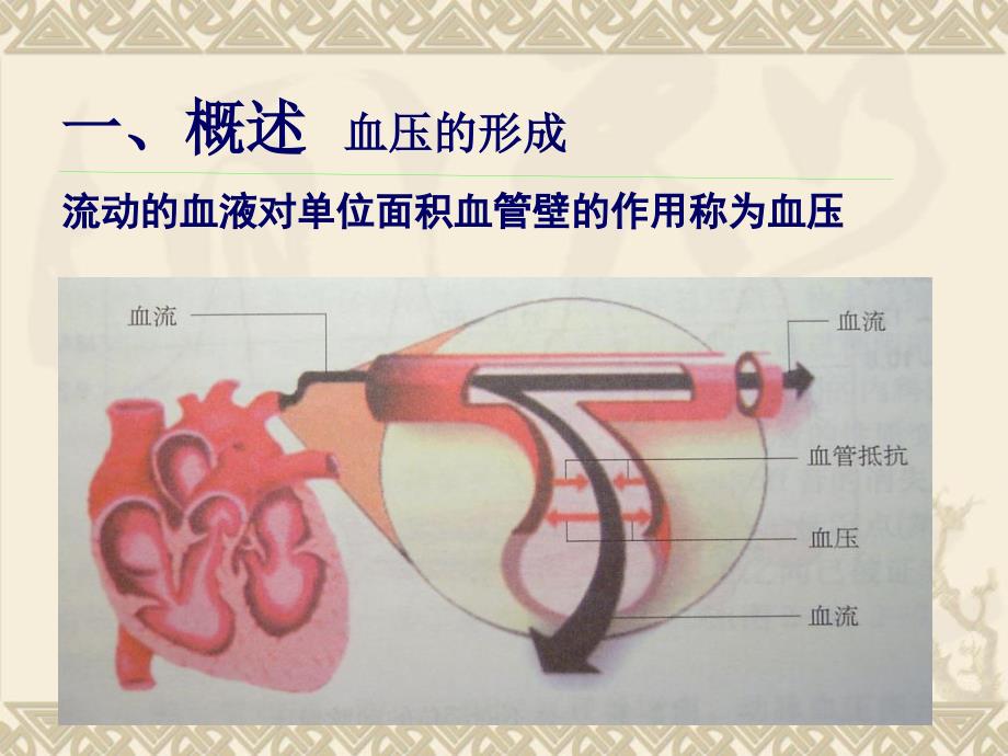 原发性高血压护理PPT课件.ppt_第3页