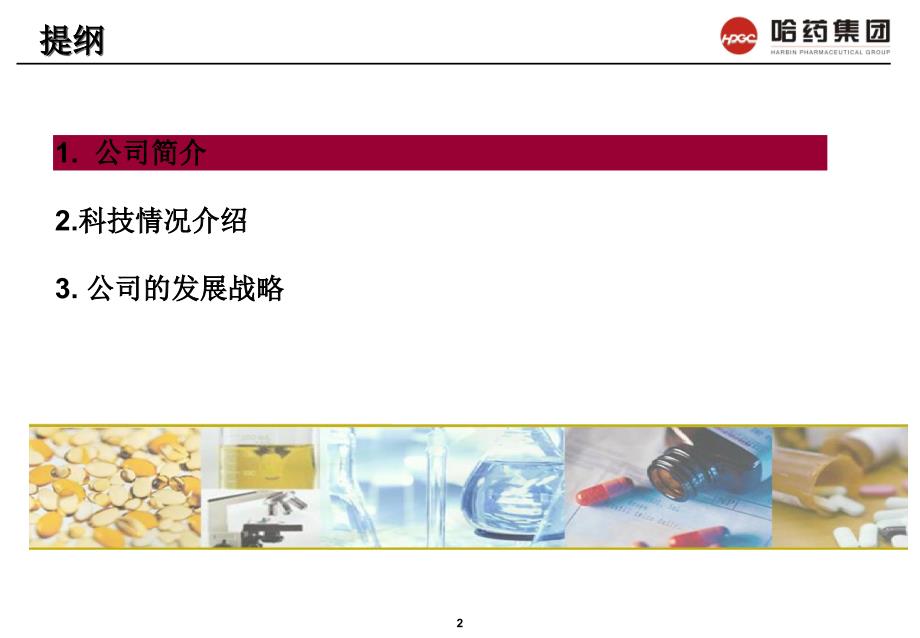 哈药集团科技创新及发展战略.ppt_第2页