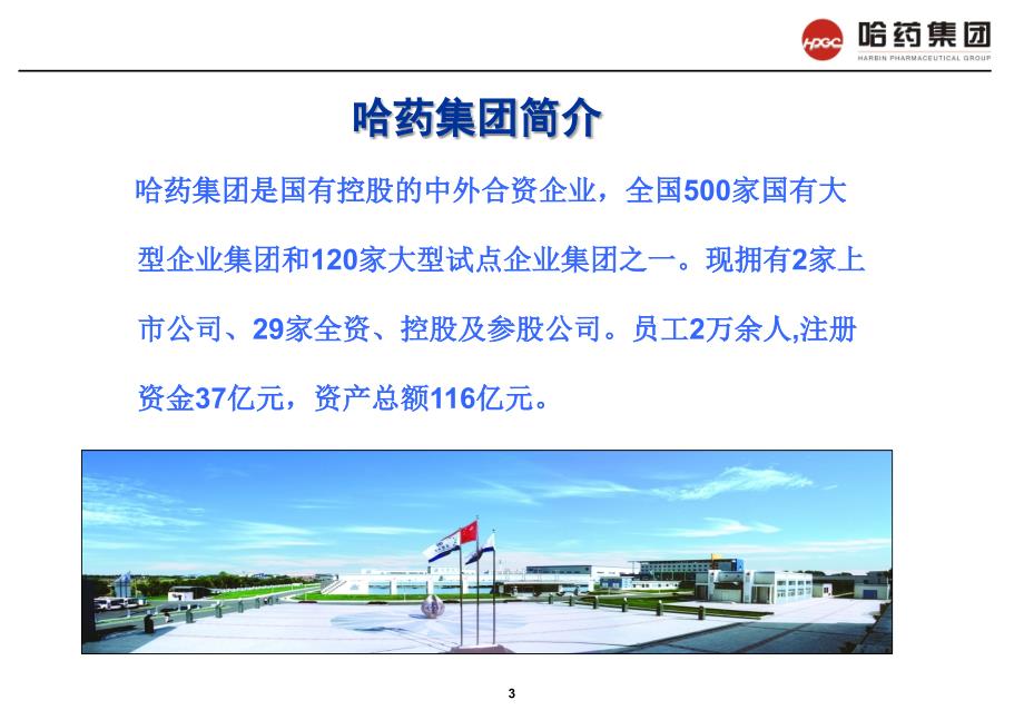 哈药集团科技创新及发展战略.ppt_第3页
