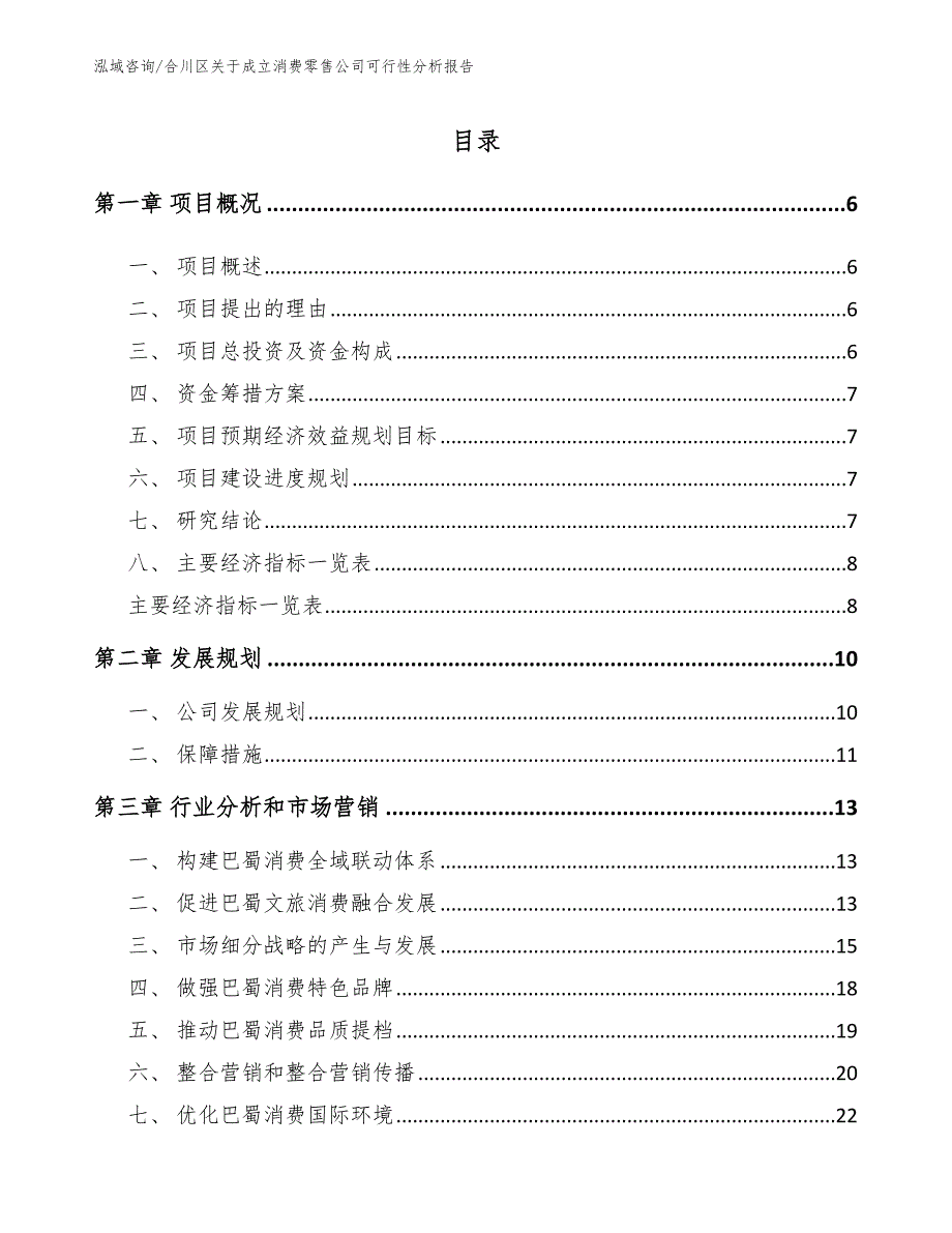 合川区关于成立消费零售公司可行性分析报告模板参考.docx_第2页