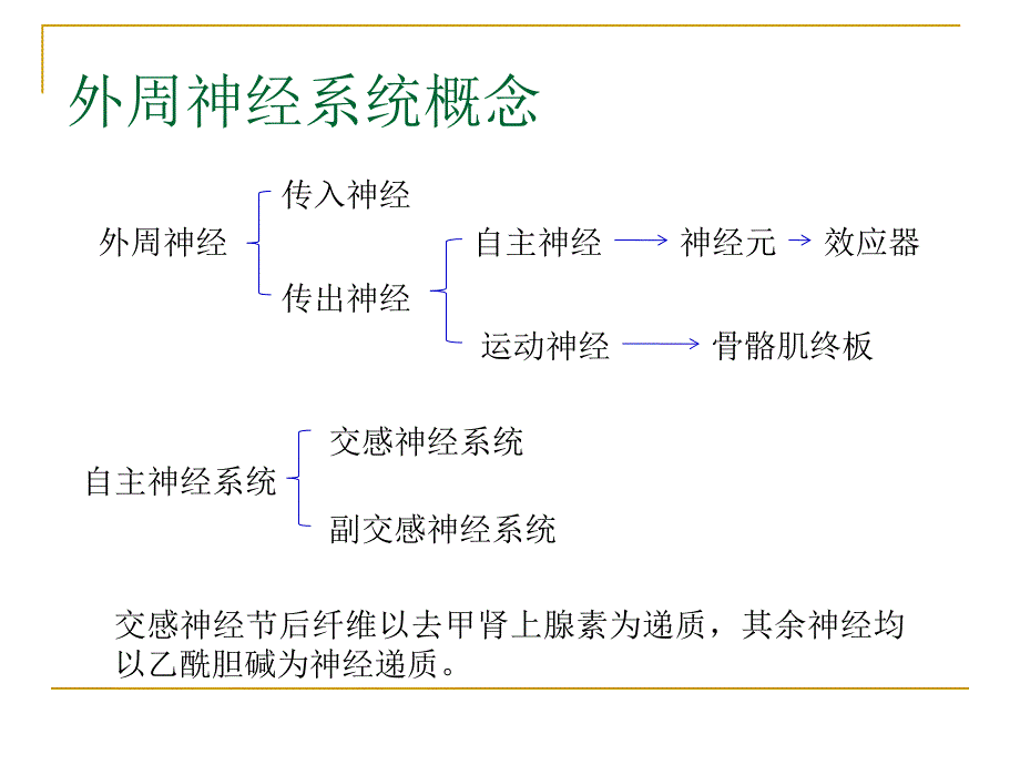 外周神经系统用药.ppt_第2页