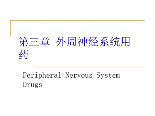 外周神经系统用药.ppt