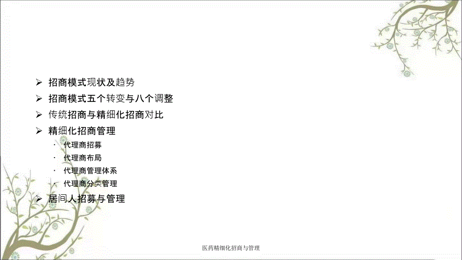 医药精细化招商与管理.ppt_第2页