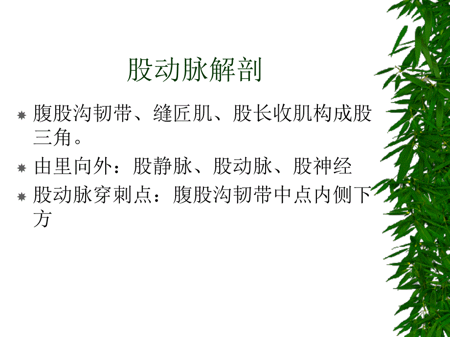 假性动脉瘤PPT课件.ppt_第2页