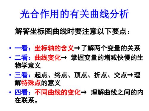 光合作用曲线专题课件.ppt