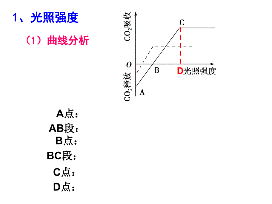 光合作用曲线专题课件.ppt_第3页
