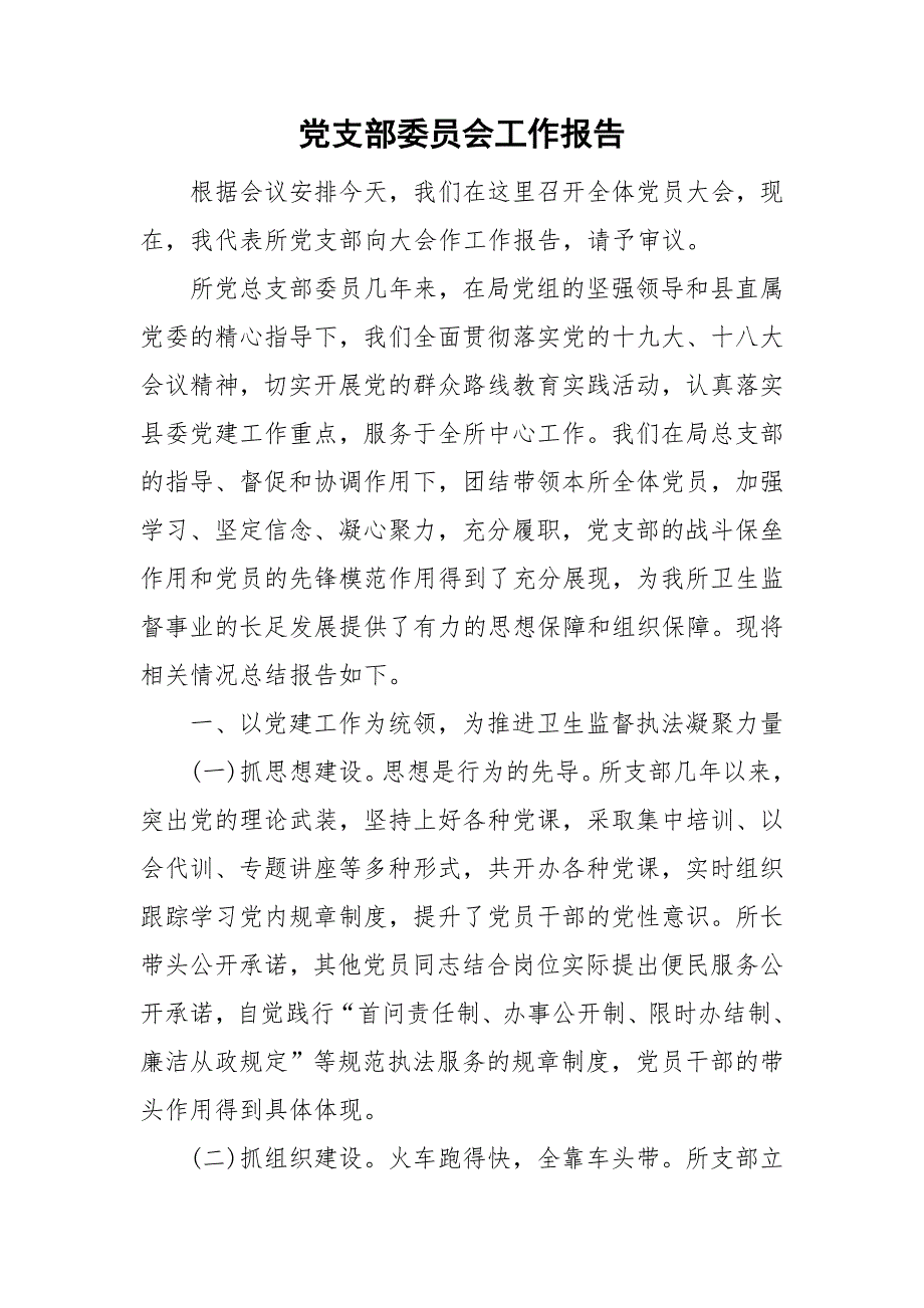 党支部委员会工作报告.doc_第1页