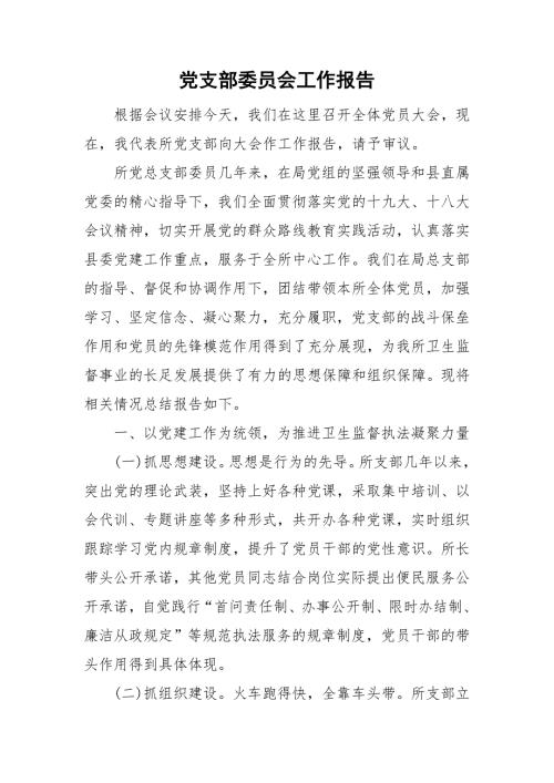 党支部委员会工作报告.doc