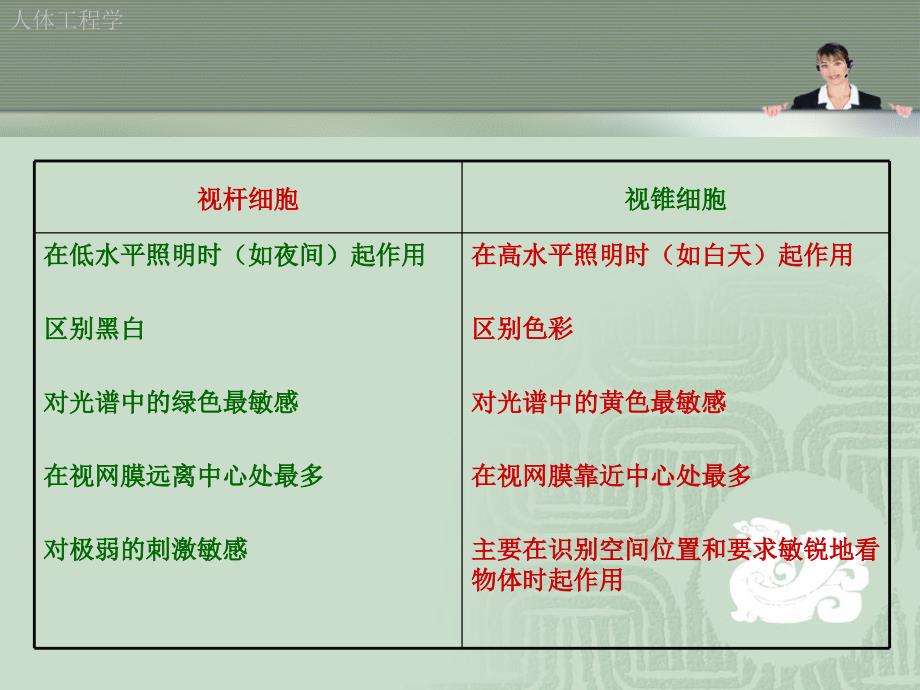 人体工程学与视觉传达设计.ppt_第3页