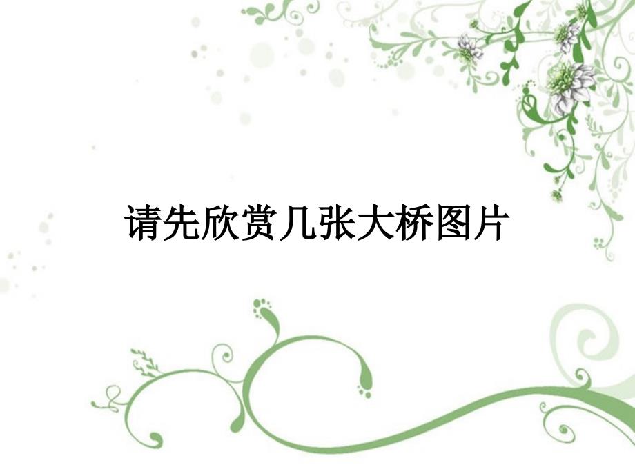 南京长江大桥介绍课件.ppt_第2页