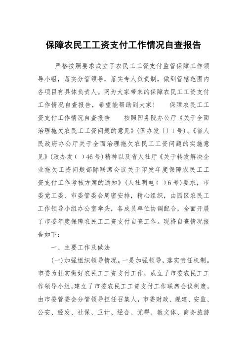 保障农民工工资支付工作情况自查报告.docx