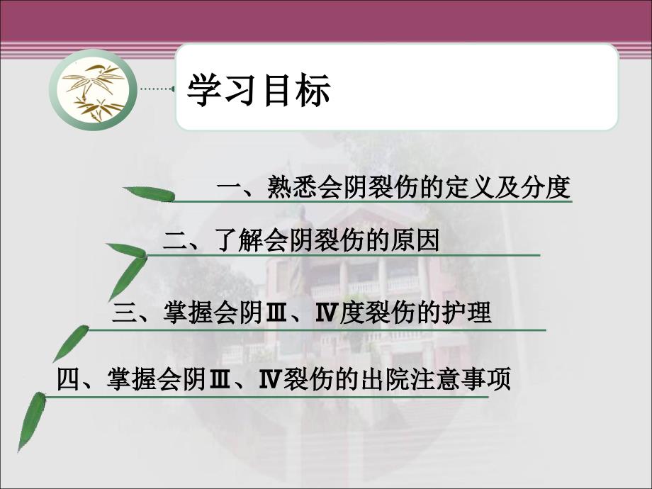 会阴三四度裂伤的护理ppt课件.ppt_第2页