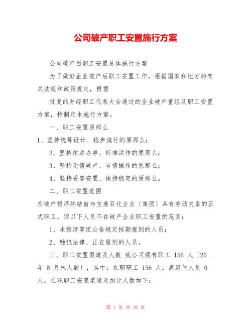 公司破产职工安置实施方案.doc
