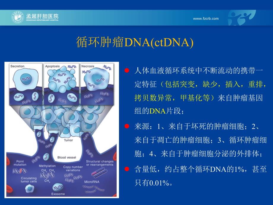 刘小龙循环肿瘤DNActDNA检测策略及临床意义PPT文档.ppt_第3页
