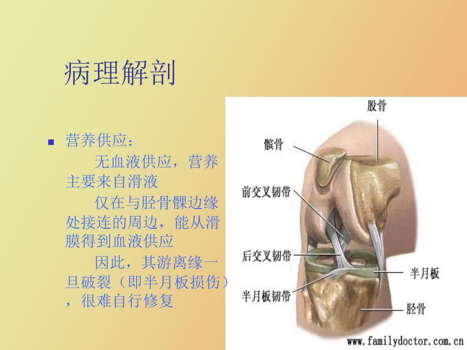 关节镜下半月板损伤缝合术后的护理.ppt_第3页