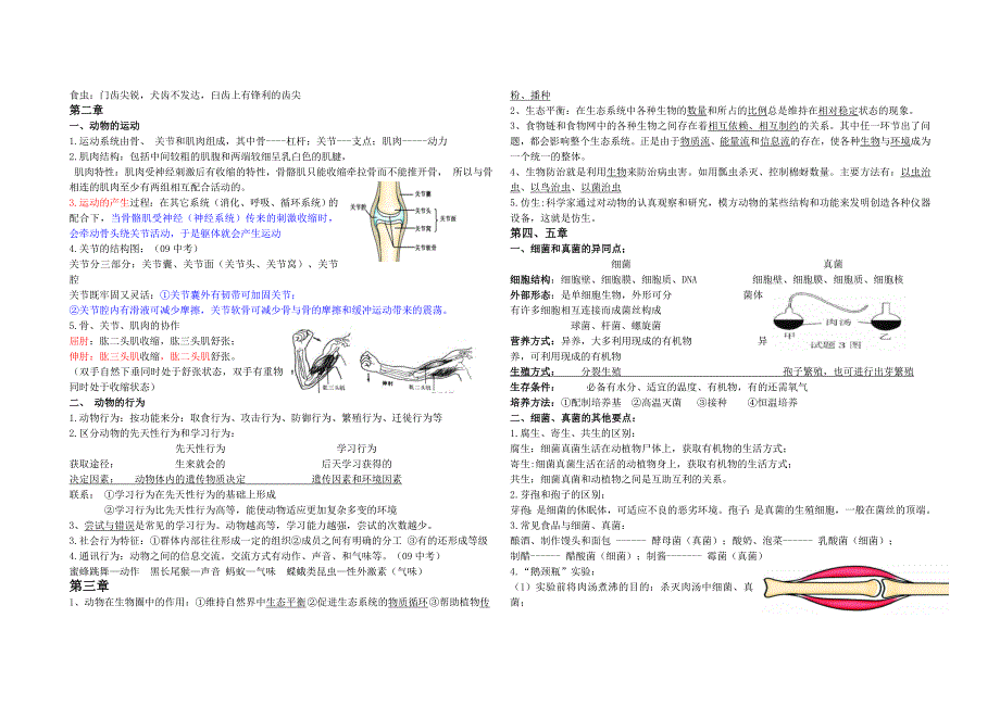 人教版八年级生物上册知识点总结.doc_第2页