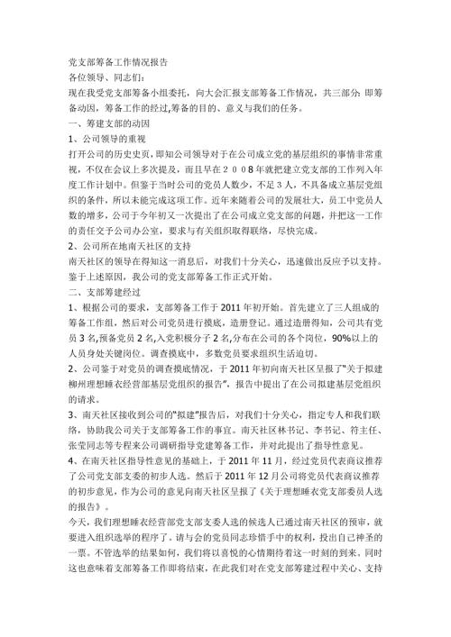 党支部筹备工作情况报告.doc