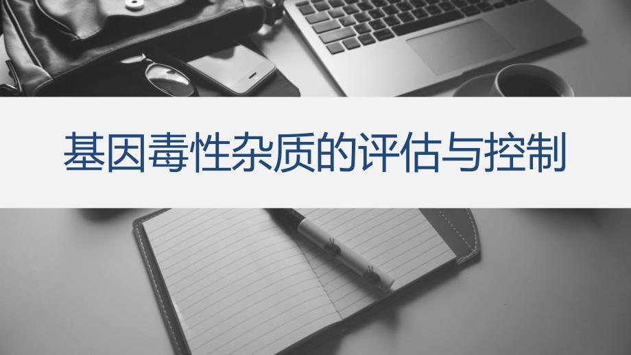 基因毒性杂质的评估与控制.ppt_第1页