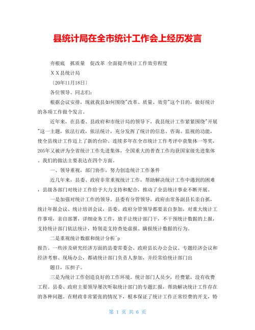 县统计局在全市统计工作会上经验发言.doc