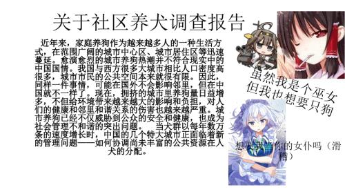 关于社区养犬调查报告.ppt