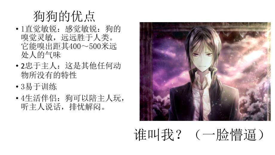 关于社区养犬调查报告.ppt_第2页