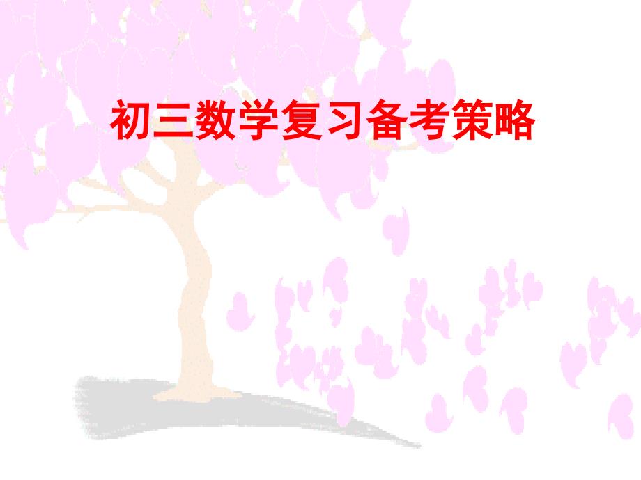 初三数学复习备考策略.ppt_第1页