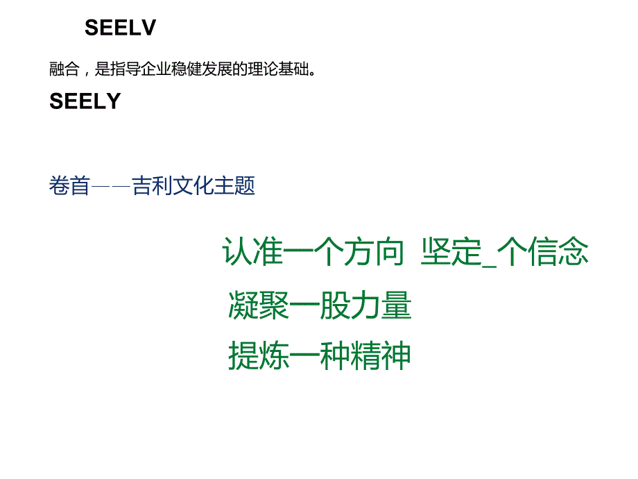 吉利集团企业文化大纲宣讲版.doc_第3页