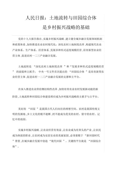 乡村振兴战略.doc