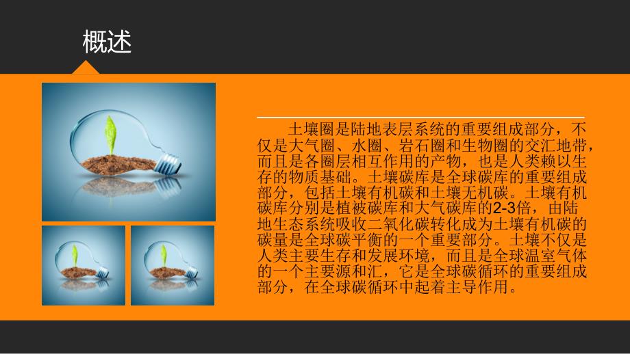 土壤碳循环vs全球碳循环.ppt_第2页