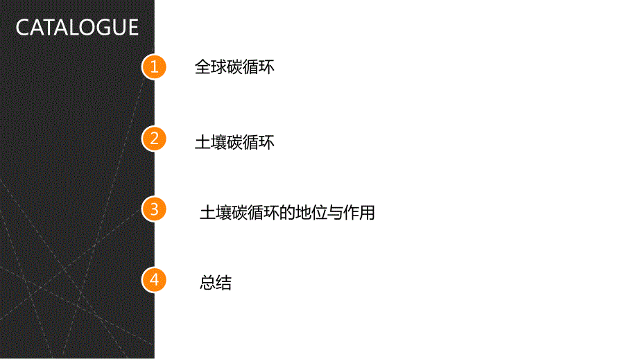 土壤碳循环vs全球碳循环.ppt_第3页