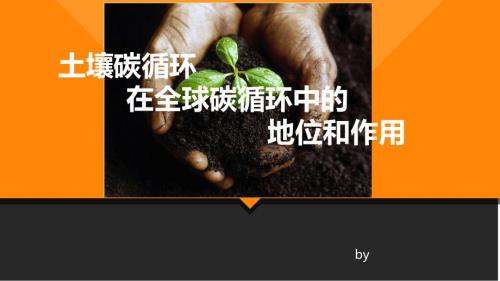 土壤碳循环vs全球碳循环.ppt