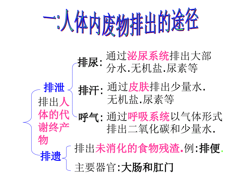 中考生物泌尿系统的复习课件.ppt_第3页