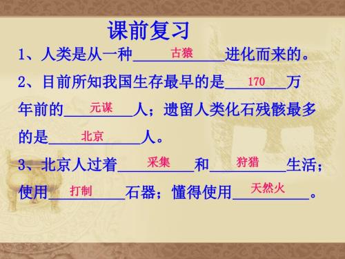 原始农耕文化PPT课件.ppt