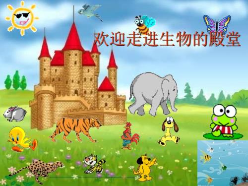 初中生物第一节课致同学们.ppt